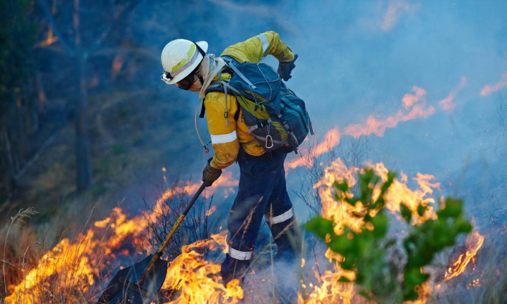 Incendios forestales: herramientas para estar informado Incendios forestales: las mejores herramientas para estar informado
