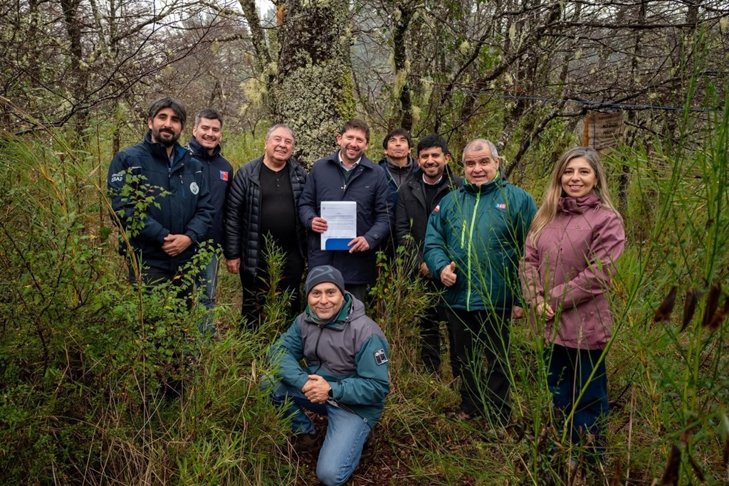 Bienes Nacionales renueva concesión a UFRO para la conservación del Bien Nacional Protegido Las Araucarias en Carahue Bienes Nacionales renueva concesión a UFRO para la conservación del Bien Nacional Protegido Las Araucarias en Carahue