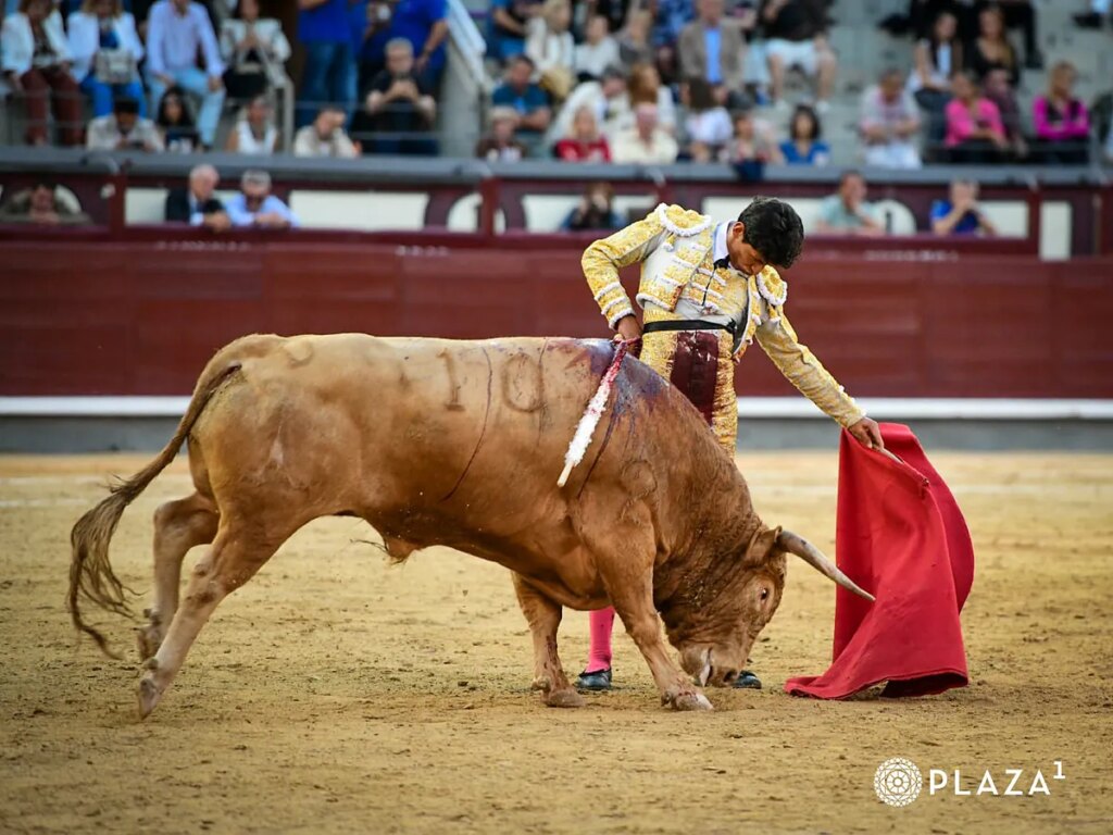 El mexicano Emiliano Osornio, ante su debut en Pamplona: "Es hermoso ver a tanta juventud disfrutando del regalo cultural que es la tauromaquia."