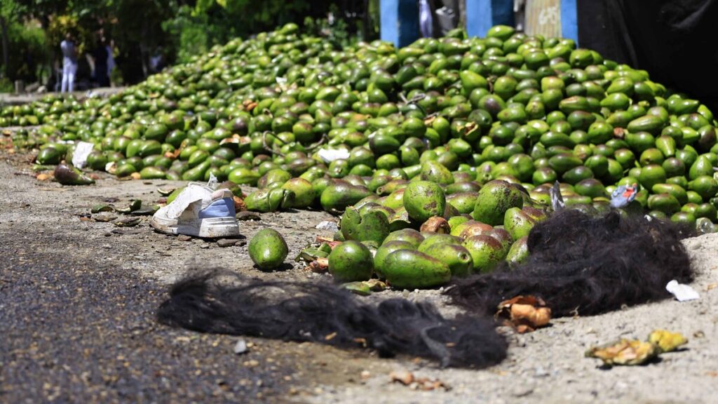 La proporcionalidad no se mide en aguacates La proporcionalidad no se mide en aguacates