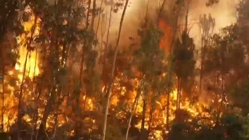 Portugal en emergencia: ola de calor desata incendios forestales Portugal en emergencia: ola de calor desata incendios forestales